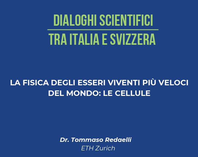 iMMAGINE SITO